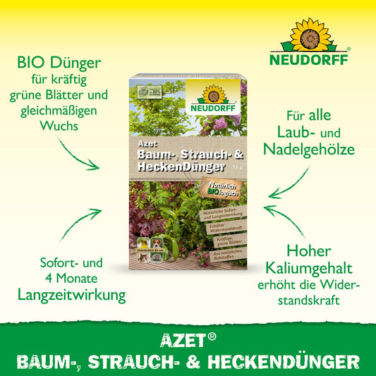 Abgebildet ist eine rechteckige Dose Neudorff Shop Azet Baum-, Strauch- & HeckenDünger mit grünen Pfeilen, die die lang anhaltende Wirkung und den hohen Kaliumgehalt betonen - ein idealer Dünger für Sträucher und Hecken in jedem Garten.