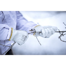 NITRAS DRIVER WINTER, full-grain cowhide gloves, gray