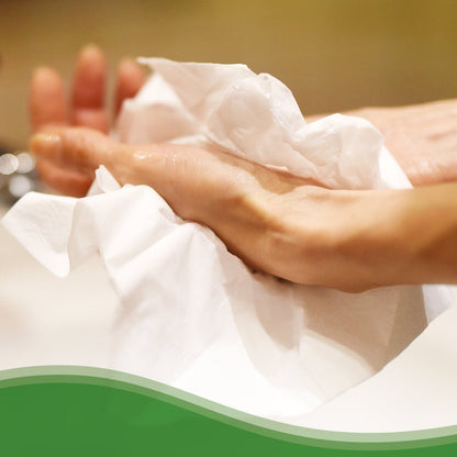 A person dries their hands with Hostess™ NATURA™ folded white towels from Kimberly-Clark GmbH. The blurred background and the green, wavy edge highlight the product-appropriate paper towels for public restrooms.