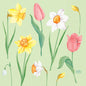 Illustration of spring flowers such as yellow daffodils, pink tulips, and a snowdrop on light green - ideal for Duni GmbH napkins 33 cm 3-ply Spring Melody paper napkins, pack of 250 pieces.