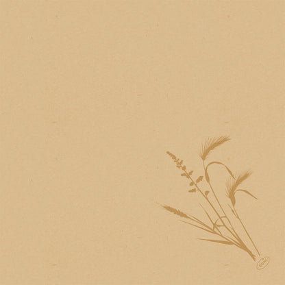 Beige textured paper with a simple brown botanical grass illustration in the lower right corner. Perfect for the presentation of the Duni GmbH Bio-Dunisoft napkin. 40x40cm. The rest of the page is blank.