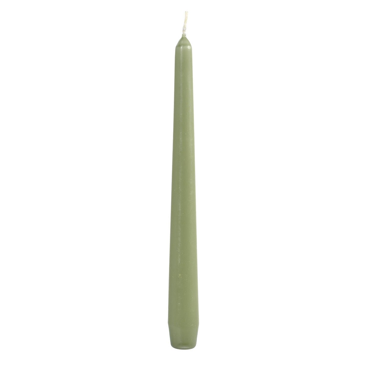 A pack of 50 chandelier candles 250x22 mm in pistachio green from Duni GmbH, each with a slightly wider base, stands upright against a white background - perfect for an elegant table decoration and adding subtle color to any setting.