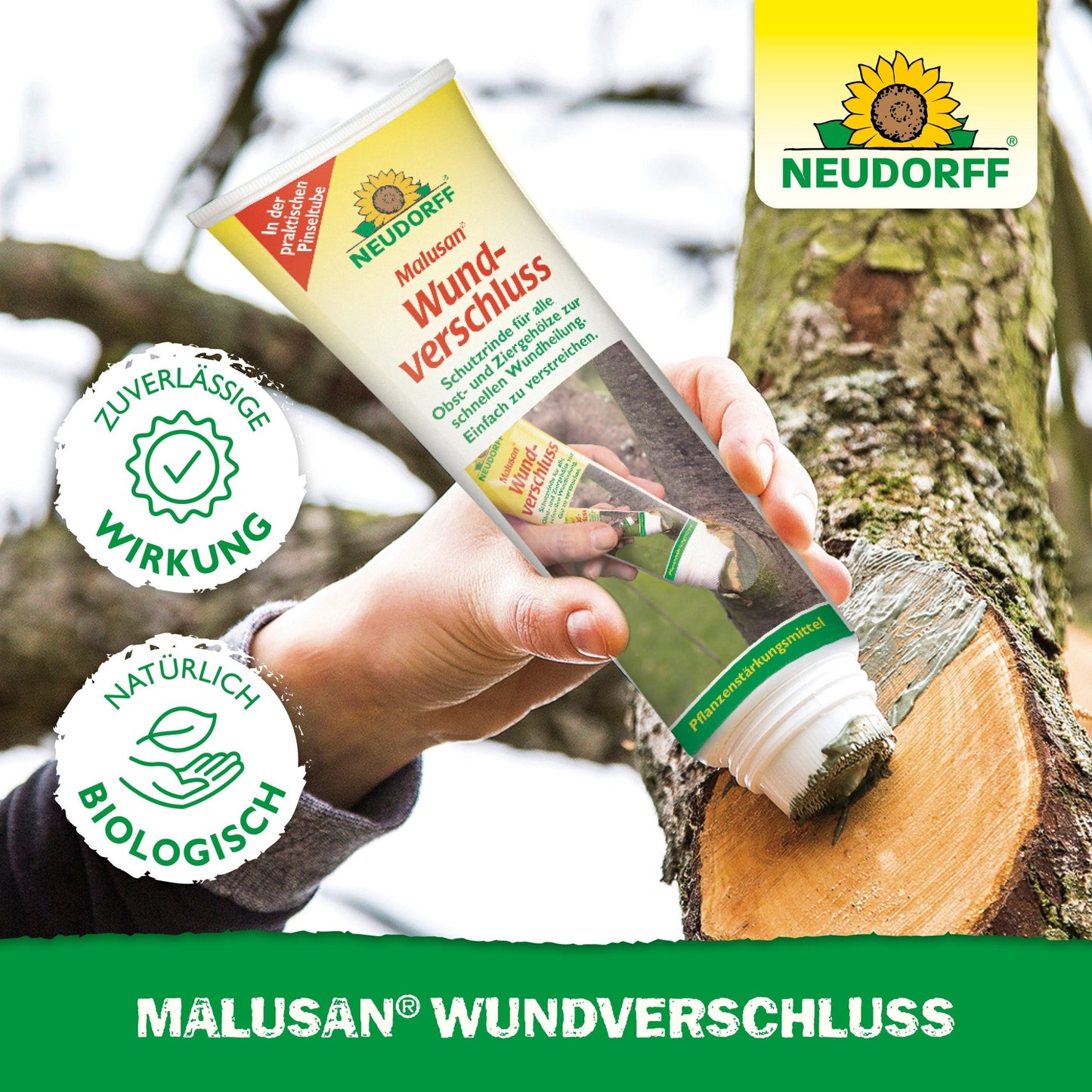 A hand applies the Malusan wound sealant from Neudorff Shop to a branch after pruning. The packaging features the Neudorff logo and symbols highlighting the reliable effect and natural, biological ingredients.