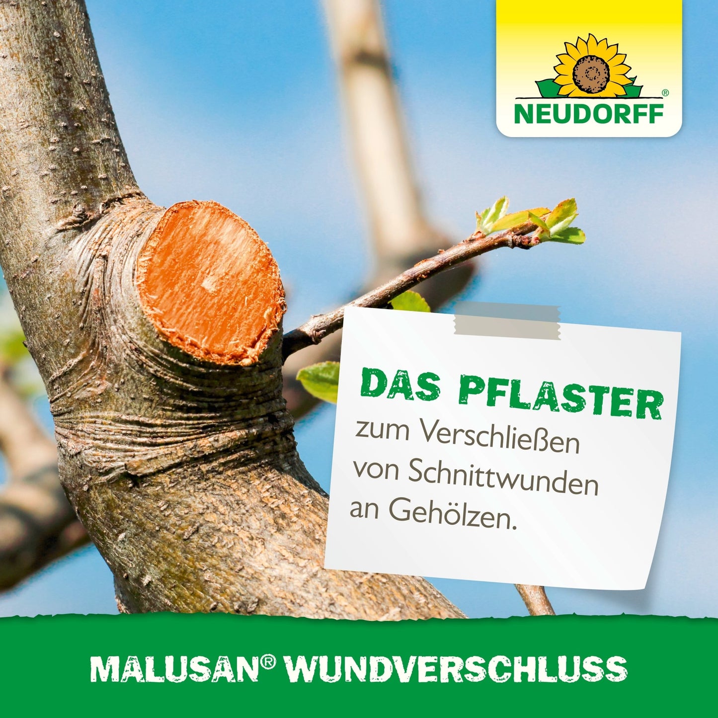 A tree branch after pruning with a fresh cut wound and a small German sign about Malusan wound sealant. The sunflower logo of the Neudorff Shop is visible in the upper right corner.