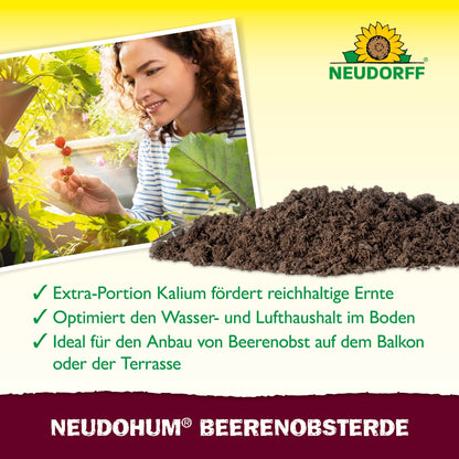 A person is harvesting red berries from a pot on the balcony. In the foreground, a pile of soil can be seen. The text highlights the NeudoHum Berry Fruit Soil from the Neudorff Shop, which promotes the growth of berries and fruits with potassium and optimal soil quality.