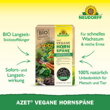 Azet Vegan Horn Shavings from Neudorff Shop is depicted on a green background, with text promoting the organic, vegan, long-lasting, and 100% natural properties for safe plant growth.