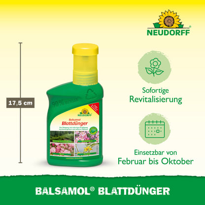 Abgebildet ist eine grüne 17,5 cm große Flasche Neudorff Shop Balsamol Blattdünger. Der Text weist darauf hin, dass es die Immergrüne belebt und für die Verwendung von Februar bis Oktober geeignet ist. Das Neudorff-Logo erscheint oben rechts.