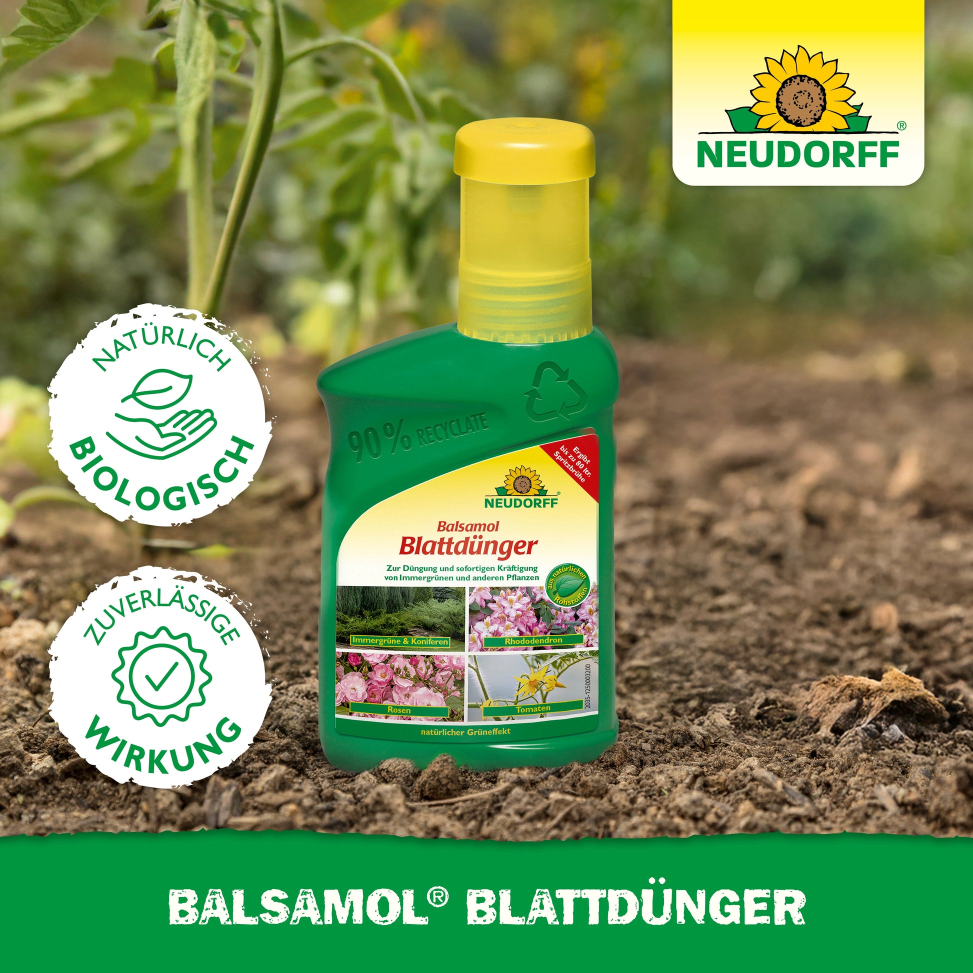 Eine grüne Flasche Neudorff Shop Balsamol Blattdünger steht inmitten von Pflanzen im Freien. Auf dem Etikett sind die Produktvorteile gesunde Immergrüne und Nadelgehölze sowie die Logos "biologisch" und "zuverlässige Wirkung" angegeben.