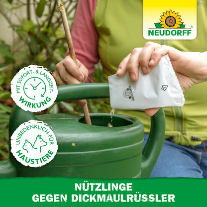 Eine Person schüttet ein weißes Päckchen in eine grüne Gießkanne im Freien. Das Bild zeigt einen deutschen Text und eine Grafik für die haustiersicheren "Nützlinge gegen Dickmaulrüssler" von Neudorff Shop, die gegen den Reblausbefall mit Nematoden wirken.