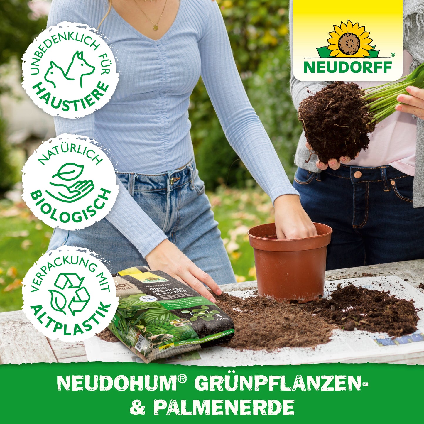 Zwei Personen topfen eine Zimmerpflanze mit der NeudoHum Grünpflanzen- & PalmenErde aus dem Neudorff Shop um - einer gießt die Erde, der andere hält die Pflanze. Umweltfreundliche, haustierfreundliche Etiketten und die Eigenschaften eines natürlichen Wasserspeichers werden hervorgehoben.