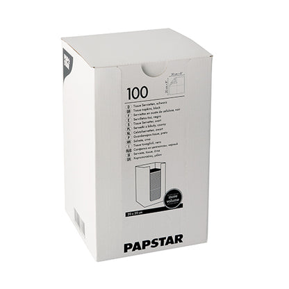 A white box with the inscription "PAPSTAR 100 napkins, 2-ply 'PUNTO' 1/4-fold 20 cm x 20 cm" of PAPSTAR GmbH contains tissue napkins with product information, a PUNTO design logo, and an opening diagram printed on the box.