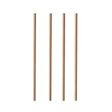 Vier PAPSTAR 100 Trinkhalme aus Papier „pure“ (Ø 6 mm, 20 cm, PAPSTAR GmbH) stehen vertikal in einer Reihe auf weißem Hintergrund.