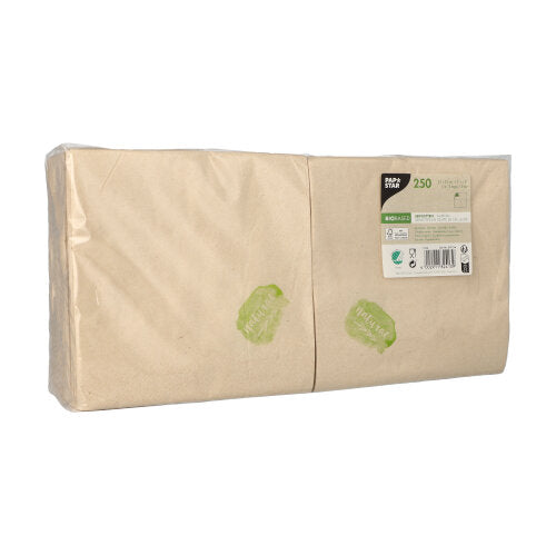 A package of 250 napkins, 2-ply, 33 x 33 cm, 1/8-fold, brown, made from recycled paper from PAPSTAR GmbH is delivered in clear plastic with a label at the top right showing product information, quantity (250), recycling symbol, eco symbols, and '2-ply' for strength.