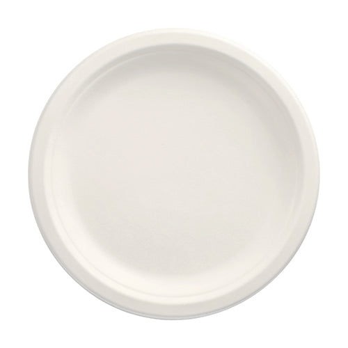 Ein PAPSTAR 100 Teller, Zuckerrohr „pure“ ungeteilt, weiss der PAPSTAR GmbH wird in der Draufsicht auf weißem Grund präsentiert. Seine glatte Oberfläche und der erhöhte Rand machen ihn zum idealen umweltfreundlichen Einwegteller für nachhaltiges Essen.