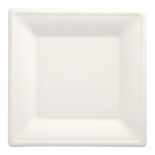 The 100 plates, sugarcane “pure” square, white by the PAPSTAR GmbH is a white, square, biodegradable plate with a slightly raised edge – an eco-friendly disposable option, photographed from above against a white background.