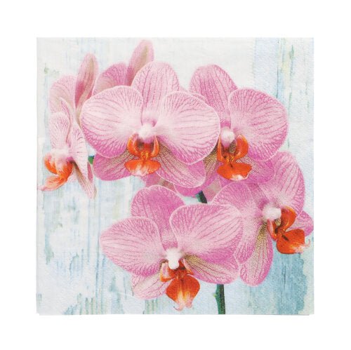 A close-up of pink orchids with orange centers on a light blue-white background adorns the PAPSTAR 20 napkins, 33 cm x 33 cm, 3-ply, design set 2 by PAPSTAR GmbH.