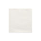 A single PAPSTAR napkin 1/4-fold, 24x24 cm, white from the "DAILY Collection" (PAPSTAR GmbH) lies flat on a white background and is viewed from above.
