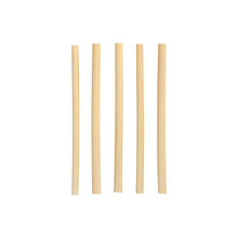 Fünf PAPSTAR Cocktail Trinkhalme Schilf "pure" (15 cm, Ø 7 mm) der PAPSTAR GmbH sind vertikal auf einem schlichten weißen Hintergrund angeordnet und heben die stilvollen und umweltfreundlichen, biologisch abbaubaren Strohhalme hervor.