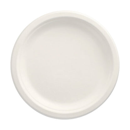 A PAPSTAR 12 plate, sugarcane "pure" undivided from PAPSTAR GmbH is seen from above on a white background. The round, simple plate with a raised edge is environmentally friendly and compostable – ideal for any occasion.