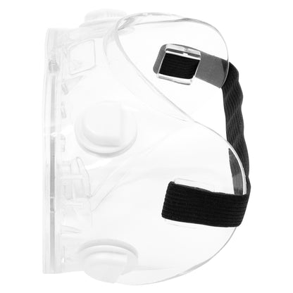 NITRAS VISION PROTECT BASIC, full vision goggles, transparent / transparent, EN 166 | Pack (10 pieces)