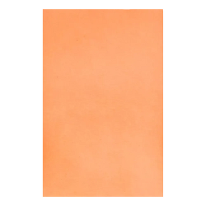 A simple, solid orange rectangle, similar to the minimalist style of the Dental Crepe Tray Liner Filter Paper from AMPri Handelsgesellschaft mbH, without any recognizable patterns or text.