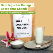 Collagen hydrolyzate powder