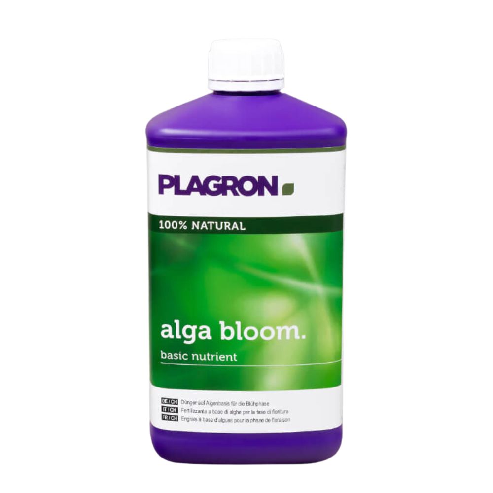 The Plagron Alga Bloom Natural Plant Fertilizer by Bertels B.V. is delivered in a purple bottle with a green and white label featuring text and graphics. Labeled "100% natural," it is an ideal base mix for flowering phase fertilizer.