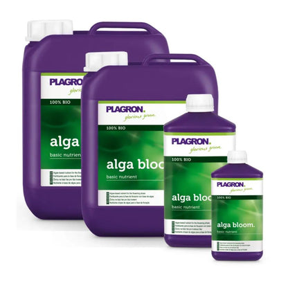 Four bottles of Plagron Alga Bloom Natural Plant Fertilizer by Bertels B.V., ideal for the flowering phase, are presented in two large and two small bottles. Each bottle features a bright purple design and green "100% Bio" labels, stylishly presenting these essential plant nutrients.