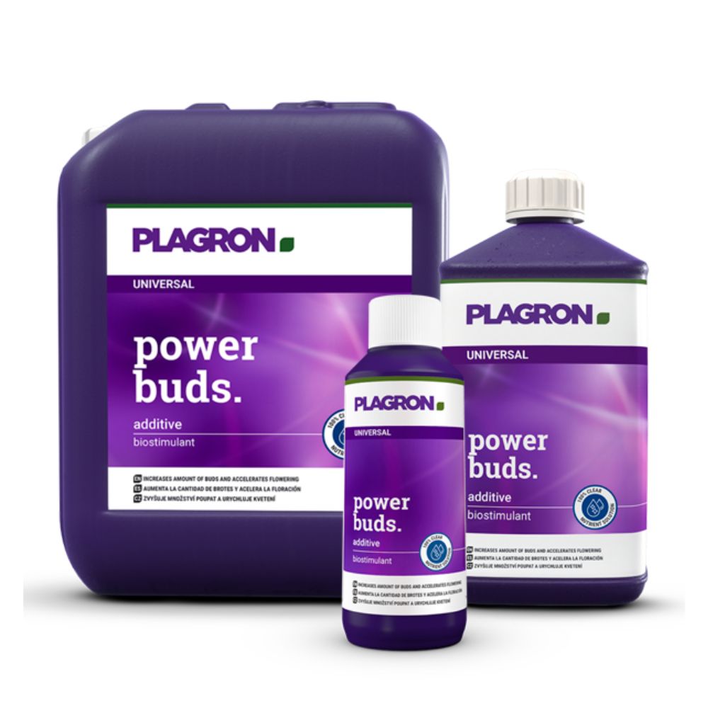 Pictured are three containers of the biostimulator Plagron Power Buds by Bertels B.V. with purple labels and white text promoting flower formation: the largest on the left, the medium on the right, and the smallest in the middle.
