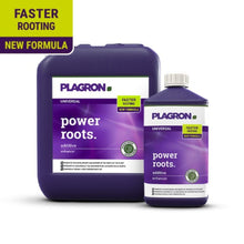 Bild von zwei Plagron Power Roots-Behältern von Bertels B.V.: eine große quadratische und eine kleinere Flasche, beide violett. Die Etiketten betonen „schnellere Wurzelbildung“ mit einer „neuen Formel“ mit Huminsäuren in leuchtendem Gelb und Violett.