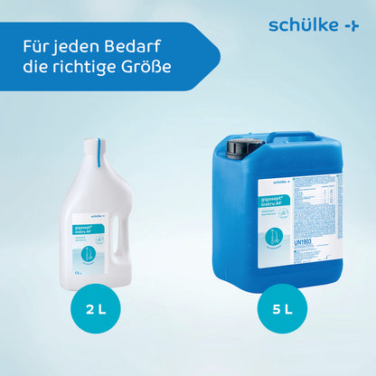 The image shows two containers of Schülke gigasept® instru AF instrument disinfectant (aldehyde-free) with the Schülke & Mayr GmbH logo. The left container, ideal for endoscope cleaning, holds 2 liters and is white with a blue label, while the right container holds 5 liters and is blue with a white label. Both are set against a light blue background. The text reads "The right size for every need."